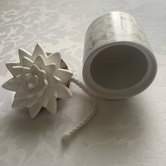 Young Living Succulent Diffuser Calming Refreshing Comfort - Picture 4 of 6